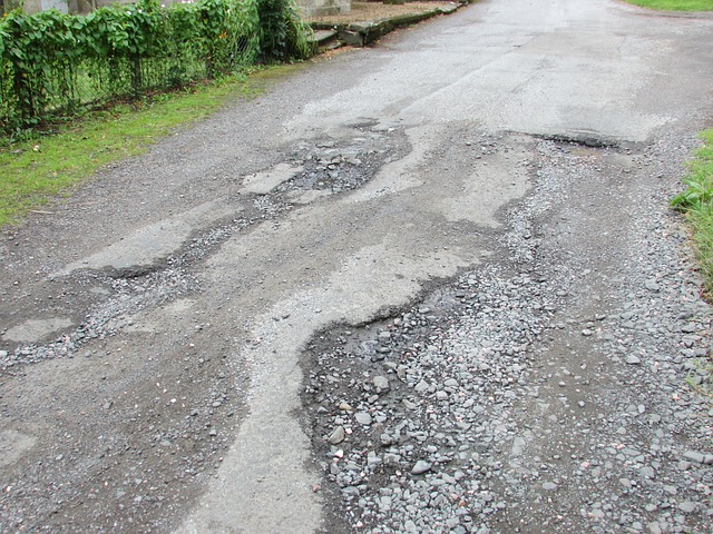 bumps-in-the-road