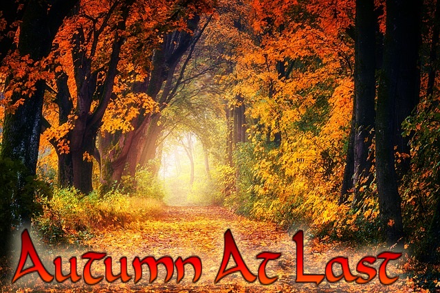 autumn-at-last