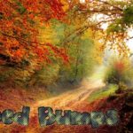 speed-bumps