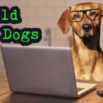 old-dogs