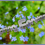 spring-forward