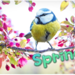 springy