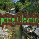 spring-cleaning