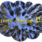sunny-spring-day