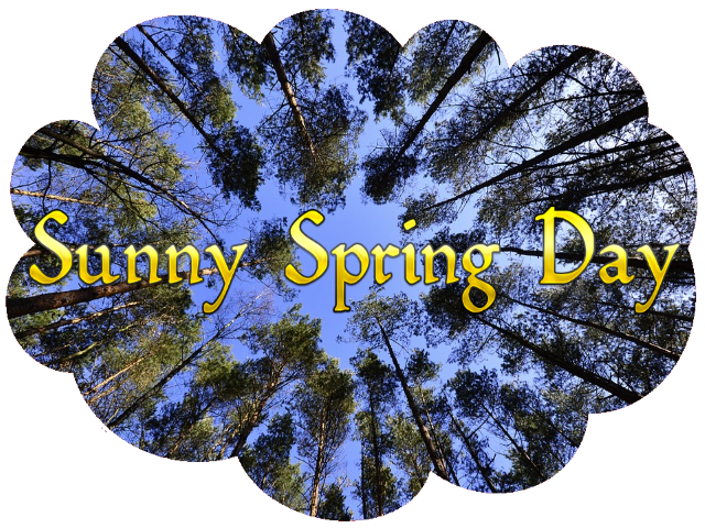 sunny-spring-day