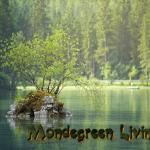 mondegreen-living