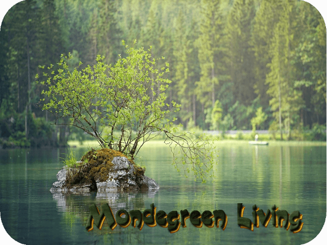mondegreen-living