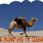 last-hump-day-of-summer