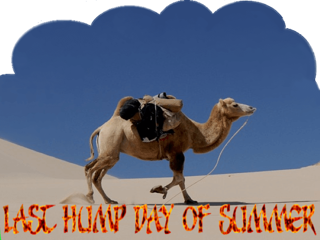 last-hump-day-of-summer