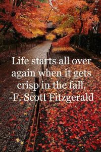 Life starts over in Fall