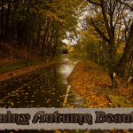 rainy-autumn-beauty