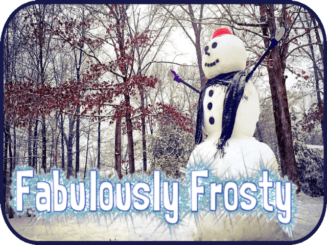 fabulously-frosty