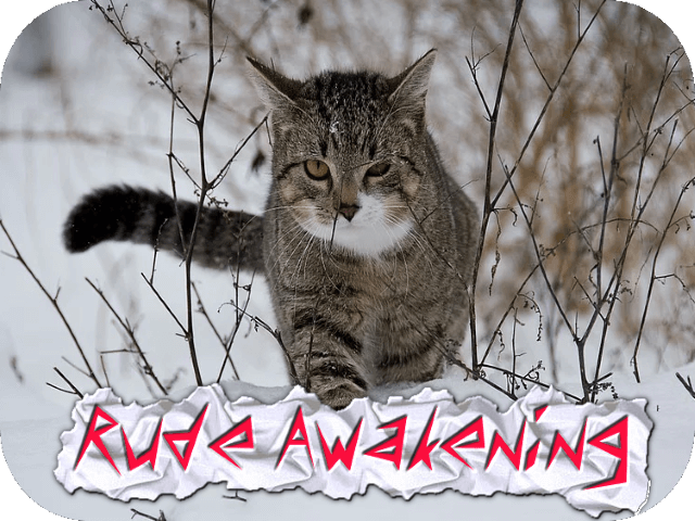 rude-awakening