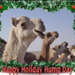 happy-holiday-hump-day