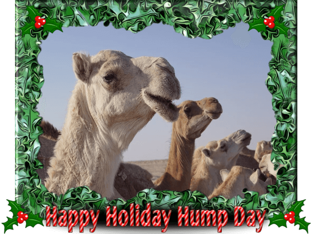 happy-holiday-hump-day