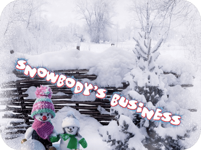snowbodys-business