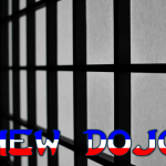 new-dojo