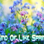 kind-of-like-spring