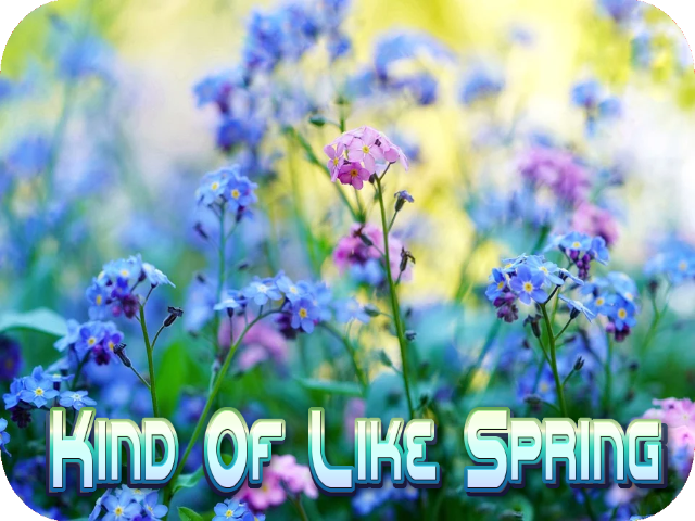 kind-of-like-spring