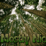 mostly-nice
