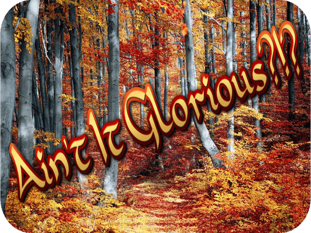 aint-it-glorious
