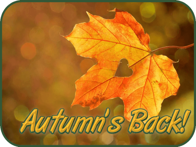 autumns-back