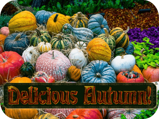 delicious-autumn