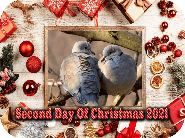 second-day-of-christmas-2021