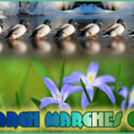 march-marches-on