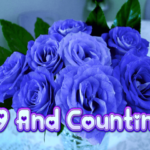 29-and-counting