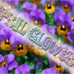 april-glowers