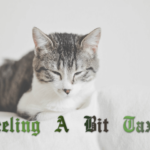 feeling-a-bit-taxed