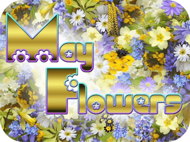 may-flowers