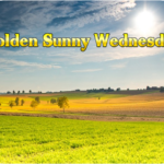 golden-sunny-wednesday