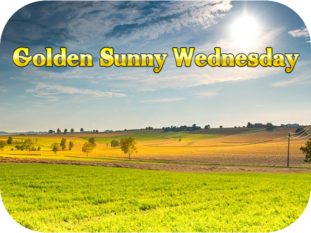 golden-sunny-wednesday