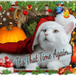 its-that-time-again