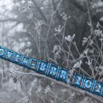 novem-brr-2021