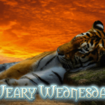 weary-wednesday