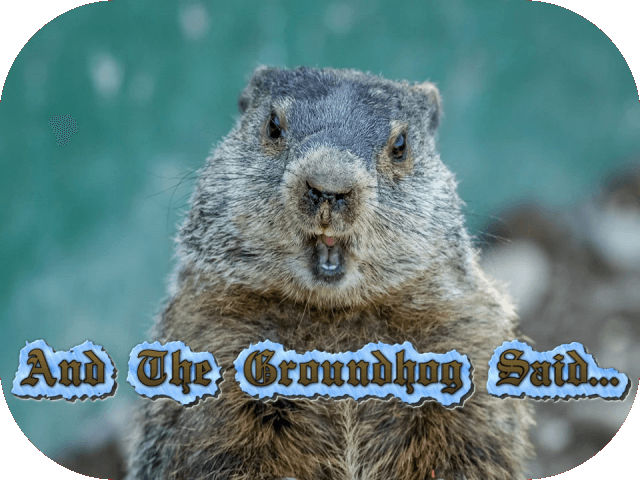 and-the-groundhog-said