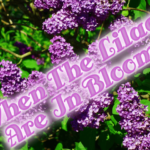 when-the-lilacs-are-in-bloom