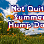 not-quite-summer-hump-day