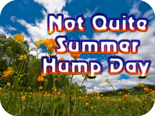 not-quite-summer-hump-day