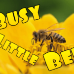 busy-little-bee