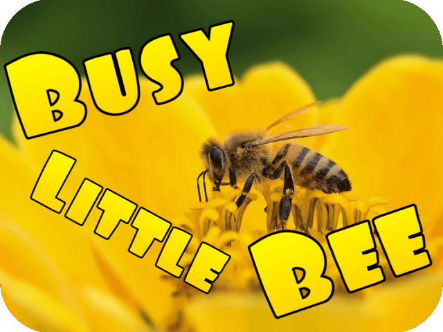 busy-little-bee