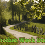 another-week-done