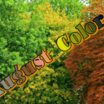 august-colors