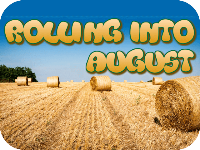 rolling-into-august