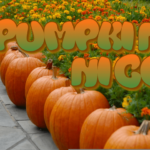 pumpkin-nice