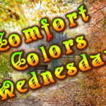 comfort-colors-wednesday