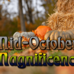 mid-october-magnificence
